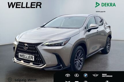 Lexus NX 450h Gebrauchtwagen