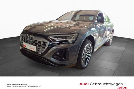 Audi Q8 e-tron Gebrauchtwagen
