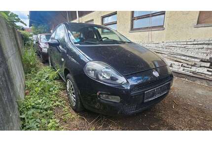 Fiat Punto Gebrauchtwagen