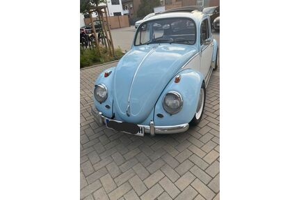 VW Käfer Gebrauchtwagen