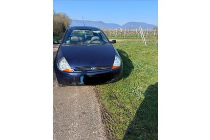 Ford Ka/Ka+ Gebrauchtwagen