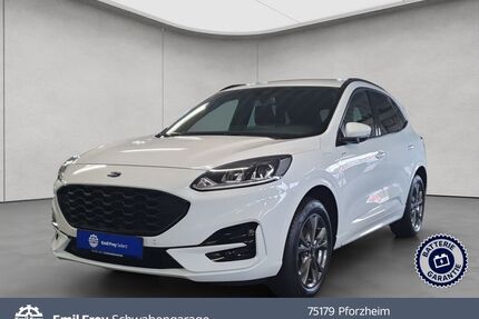 Ford Kuga Gebrauchtwagen
