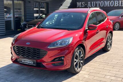 Ford Kuga Gebrauchtwagen