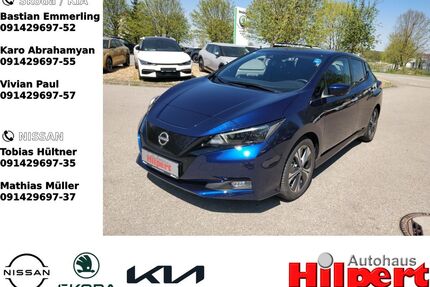 Nissan Leaf Gebrauchtwagen