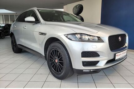 Jaguar F-Pace Gebrauchtwagen