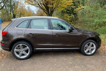Audi Q5 Gebrauchtwagen
