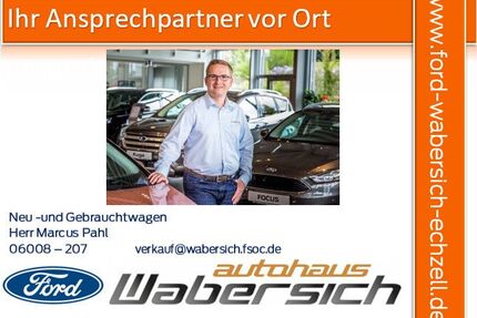 Ford Puma Gebrauchtwagen