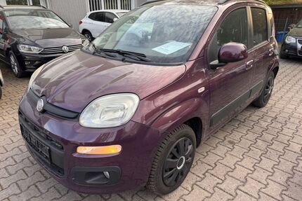 Fiat New Panda Gebrauchtwagen
