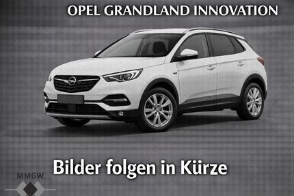 Opel Grandland (X) Gebrauchtwagen