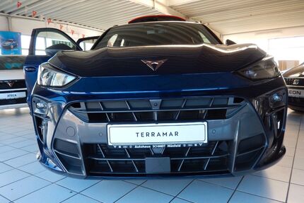 Cupra Terramar Gebrauchtwagen