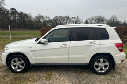 Mercedes-Benz GLK 220 Gebrauchtwagen