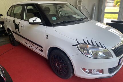 Skoda Fabia Gebrauchtwagen