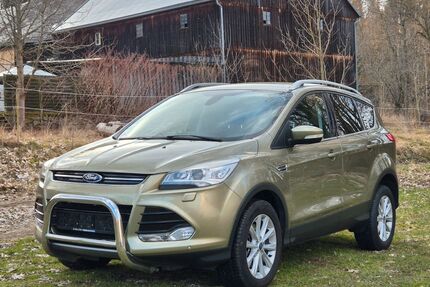Ford Kuga Gebrauchtwagen