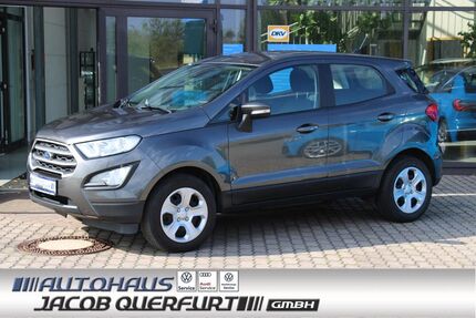 Ford EcoSport Gebrauchtwagen