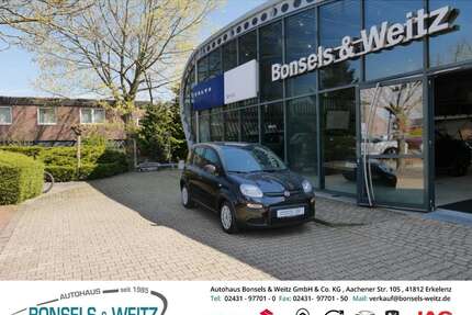 Fiat Panda Gebrauchtwagen