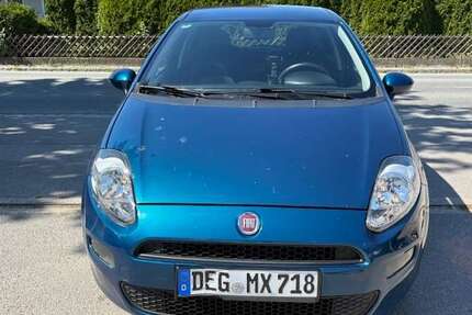 Fiat Punto Gebrauchtwagen
