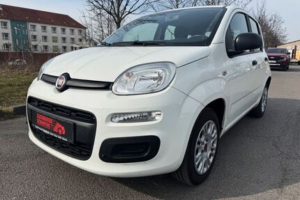 Fiat Panda Gebrauchtwagen