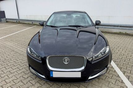 Jaguar XF Gebrauchtwagen