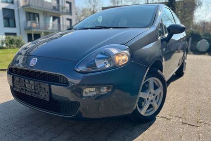 Fiat Punto Gebrauchtwagen
