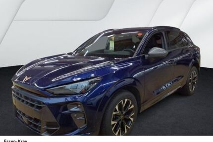 Cupra Terramar Gebrauchtwagen