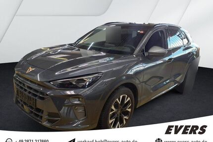 Cupra Terramar Gebrauchtwagen