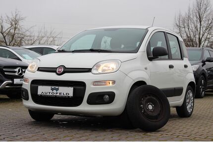 Fiat Panda Gebrauchtwagen