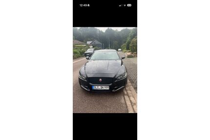 Jaguar XE Gebrauchtwagen