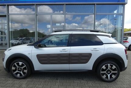 Citroen C4 Cactus Gebrauchtwagen