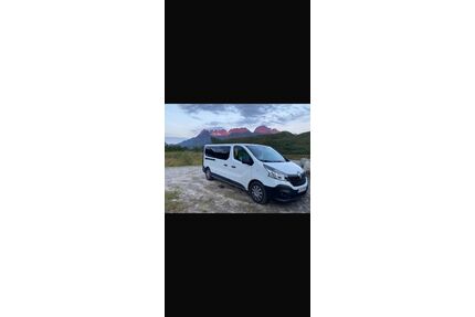Renault Trafic Gebrauchtwagen