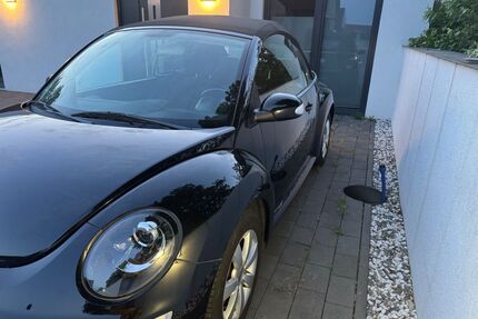 VW Beetle Gebrauchtwagen