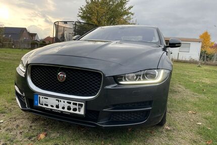 Jaguar XE Gebrauchtwagen