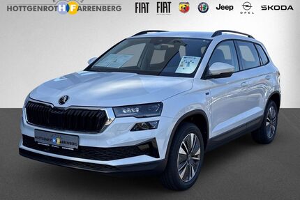 Skoda Karoq Gebrauchtwagen