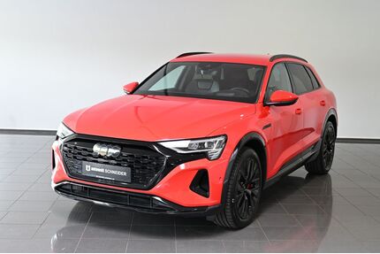 Audi Q8 e-tron Gebrauchtwagen