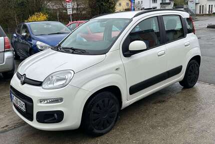 Fiat Panda Gebrauchtwagen