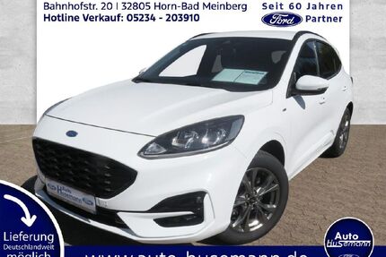 Ford Kuga Gebrauchtwagen