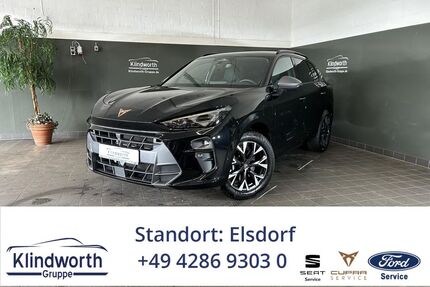 Cupra Terramar Gebrauchtwagen