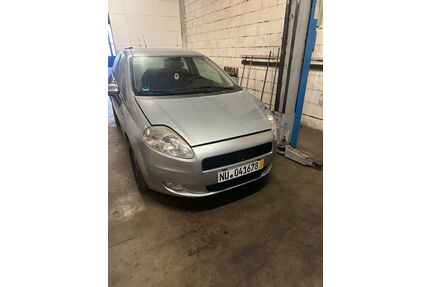 Fiat Punto Gebrauchtwagen