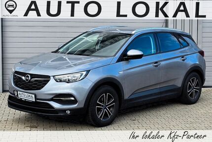 Opel Grandland (X) Gebrauchtwagen