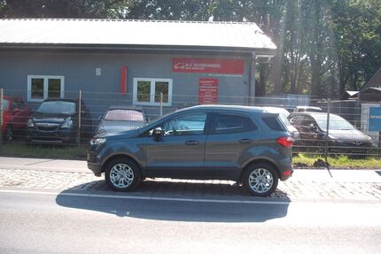 Ford EcoSport Gebrauchtwagen