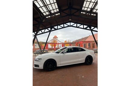 Audi S5 Gebrauchtwagen