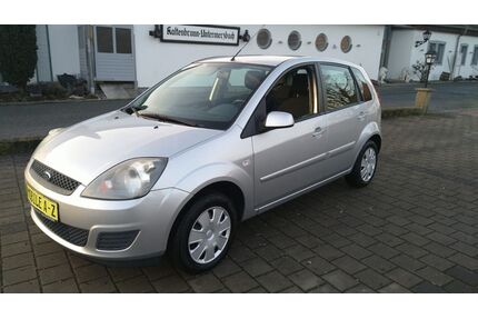 Ford Fiesta Gebrauchtwagen