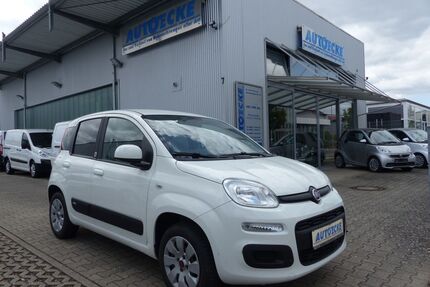 Fiat Panda Gebrauchtwagen