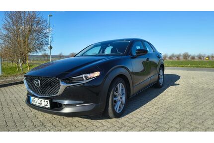 Mazda CX-30 Gebrauchtwagen