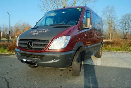Mercedes-Benz Sprinter Gebrauchtwagen