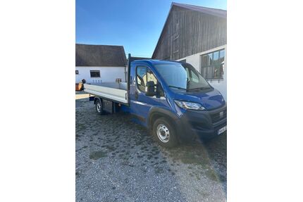 Fiat Ducato Gebrauchtwagen