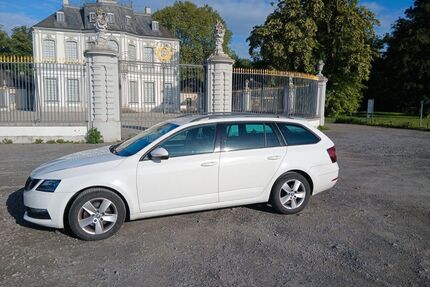 Skoda Octavia Gebrauchtwagen
