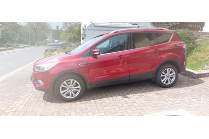 Ford Kuga Gebrauchtwagen