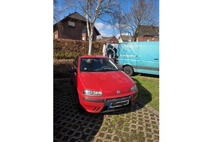 Fiat Punto Gebrauchtwagen