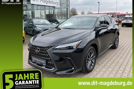 Lexus NX 350h Gebrauchtwagen