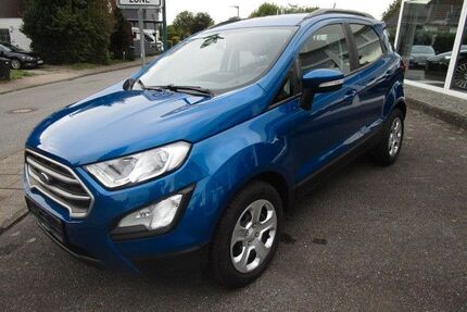 Ford EcoSport Gebrauchtwagen